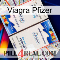 Viagra Pfizer kamagra1